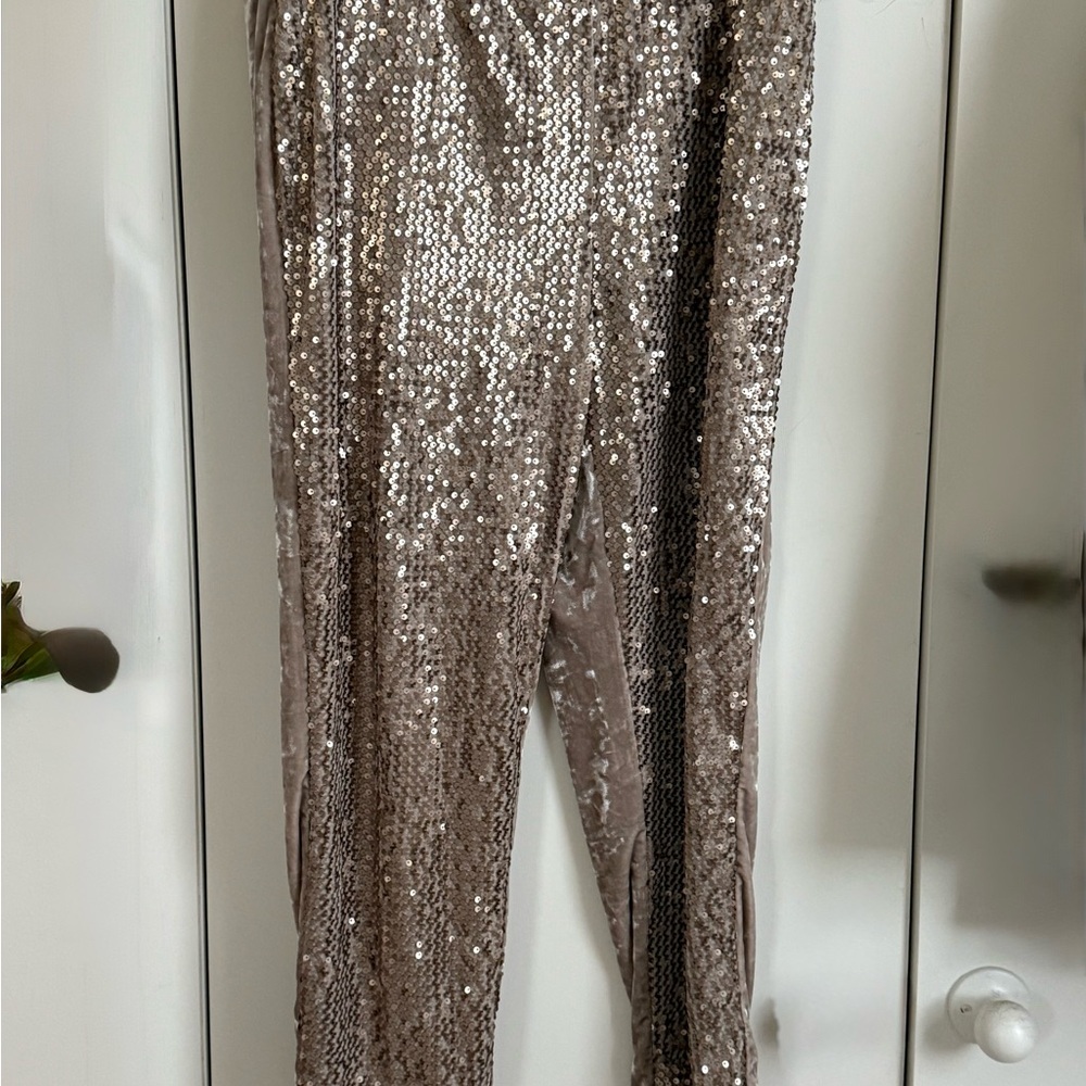 Chico’s pants .. sequence front   Back velvet